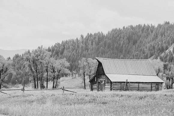 Mormon Row