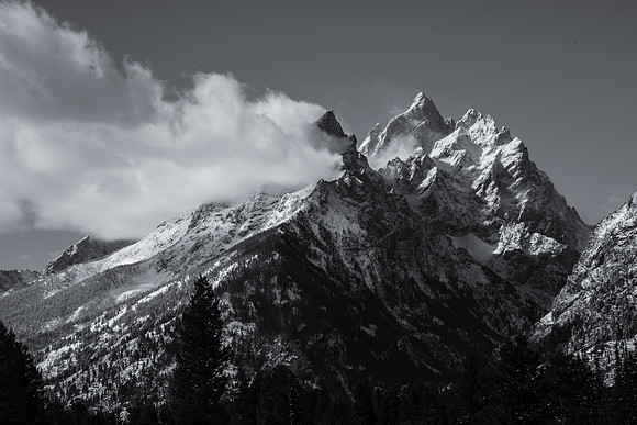 Mountain Views