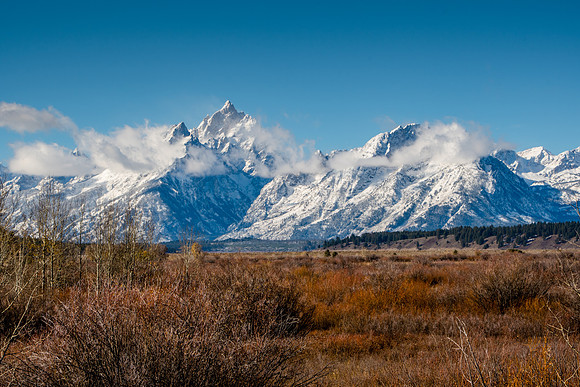Willow Flats