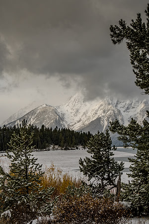 Willow Flats