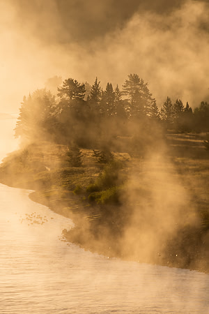Golden Sunrise