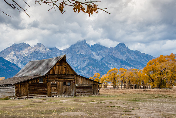 Mormon Row