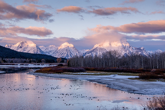 Oxbow Bend