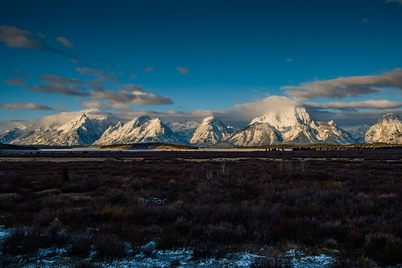 Willow Flats