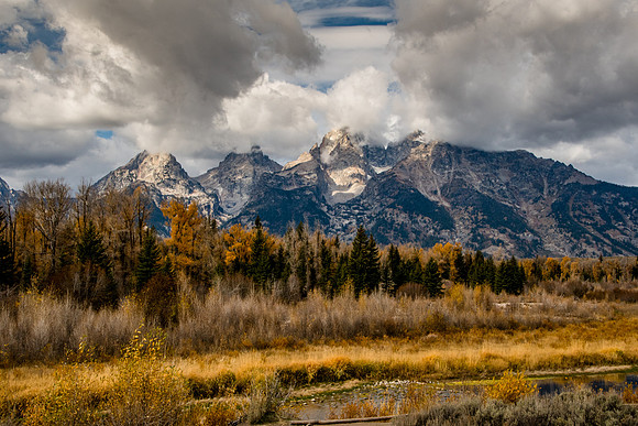 Schwabacher Landing