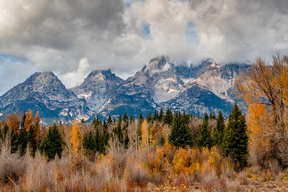 Schwabacher Landing