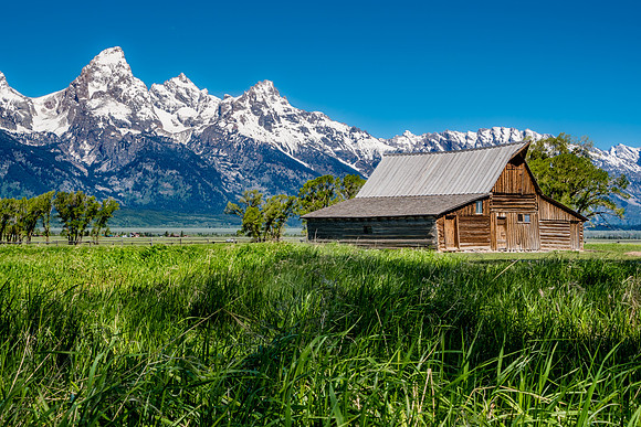 Mormon Row