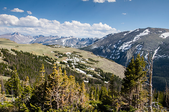 Forest Canyon Overlook