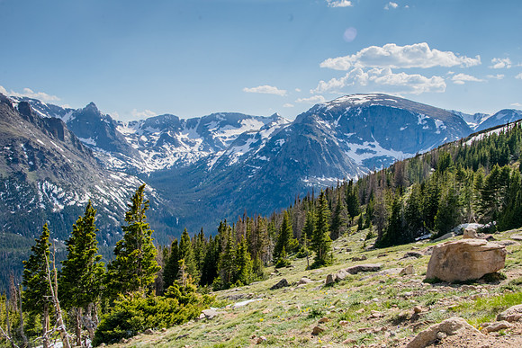 Forest meets the mountains
