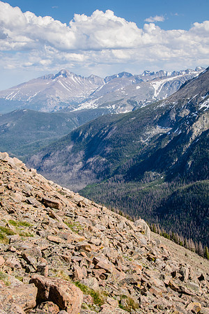 Rocky hillside from Trail Ridge Road