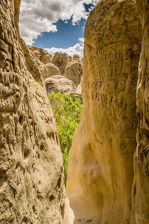 Rock Carvings