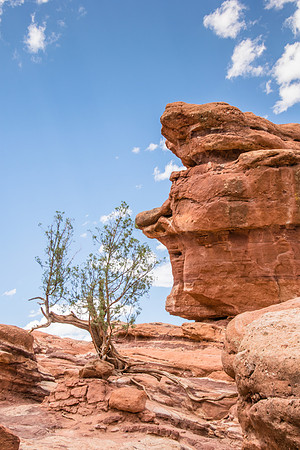 Abstract Rock formation Garden of the Gods