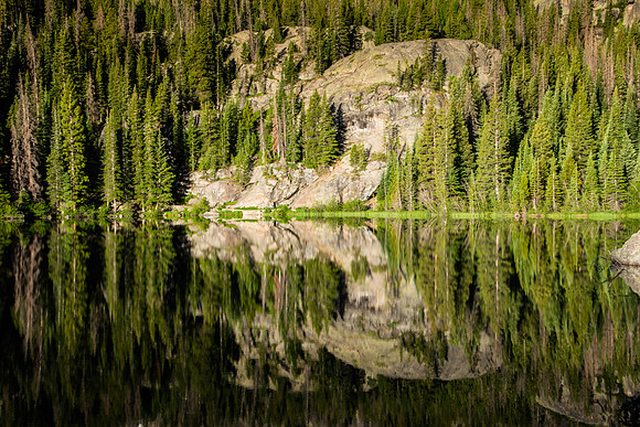 Forest Reflection on Bear Lake
