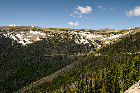Trail Ridge Road