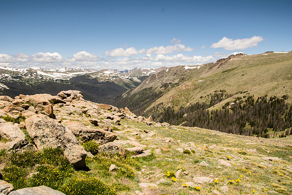 Trail Ridge Road Canyon Overlook
