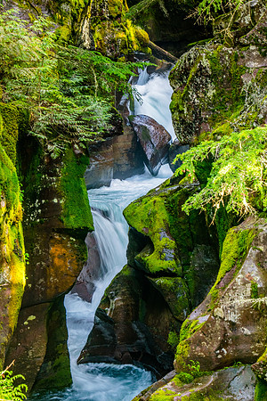 Avalanche Creek Montana