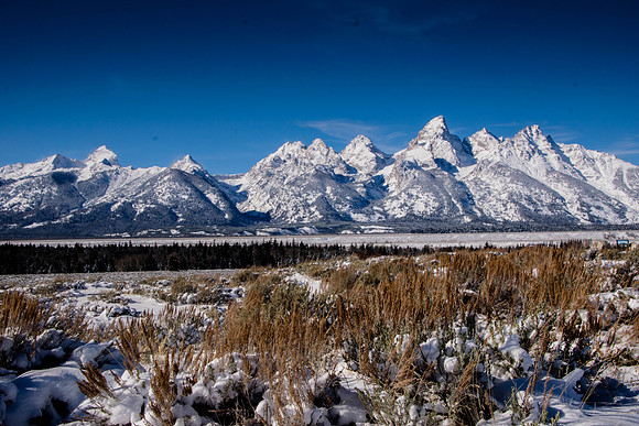 Grand Tetons Winter