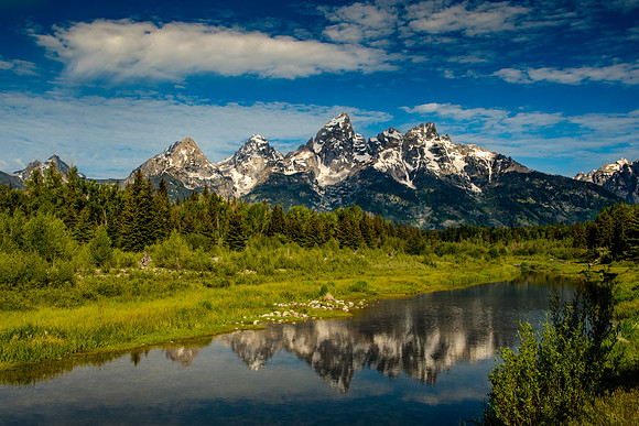 Schwabacher's Landing