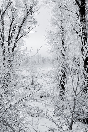 Winter in the Tetons