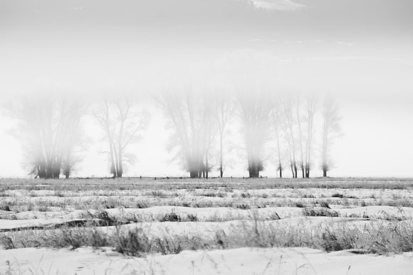 Winter in the Tetons
