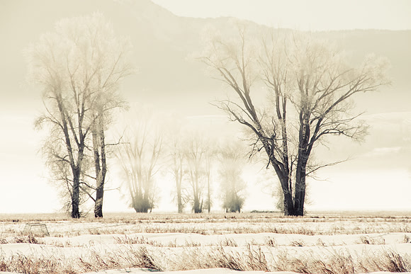 Winter in the Tetons