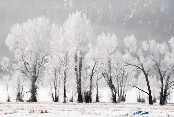 Winter in the Tetons