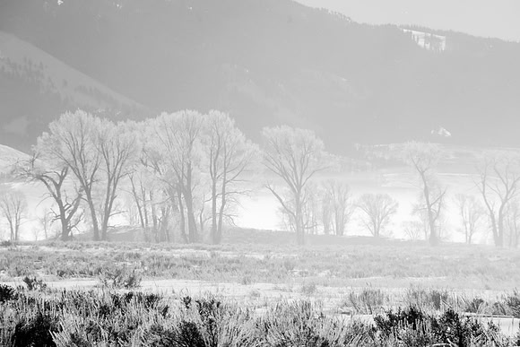 Winter in the Tetons