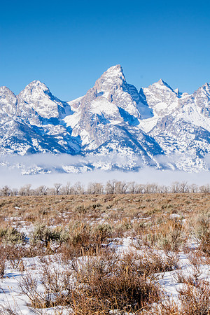 Gros Ventre