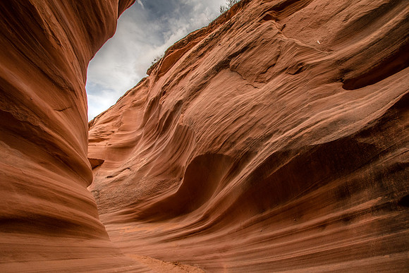 Rattlesnake Canyon