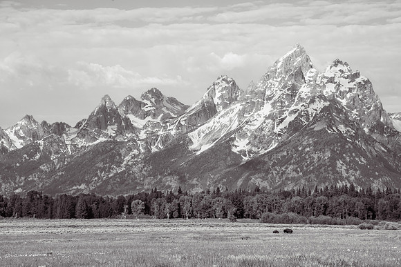 Elk Ranch Flats
