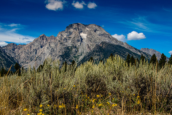 Mountain Views