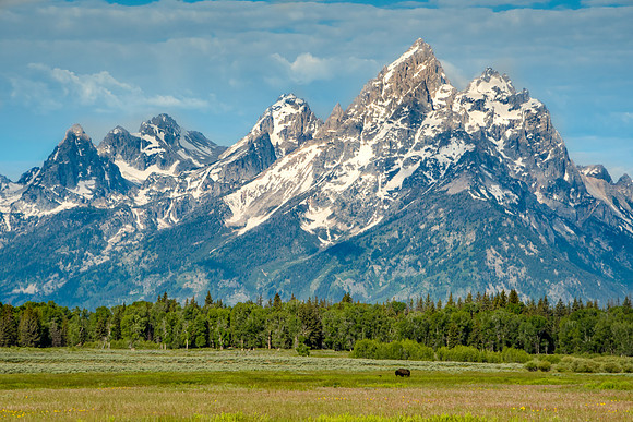 Elk Ranch Flats