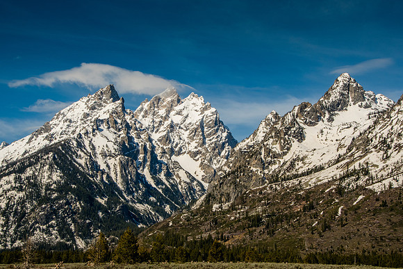 Mountain Views