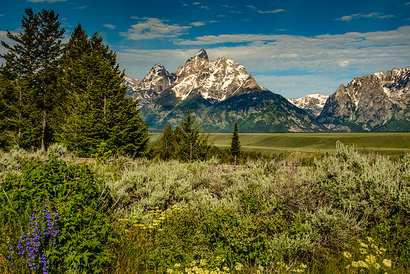 Snake River Overlook