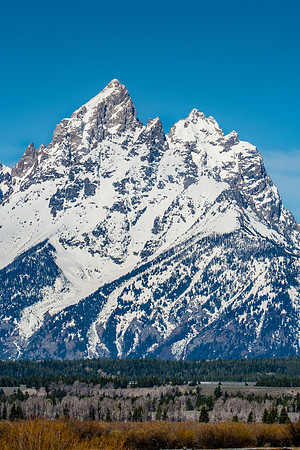 Elk Ranch Flats