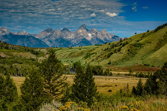 Gros Ventre