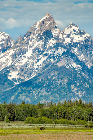 Elk Ranch Flats