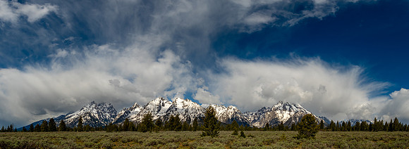 Panorama Views