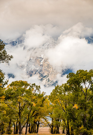 Mountain Views