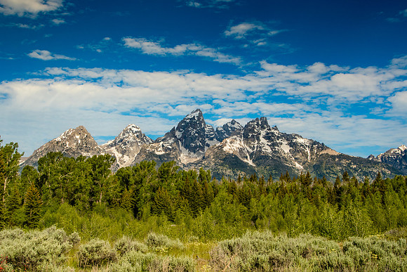 Schwabacher Landing