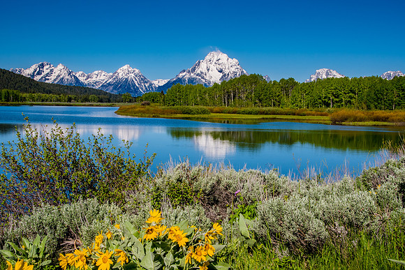 Oxbow Bend