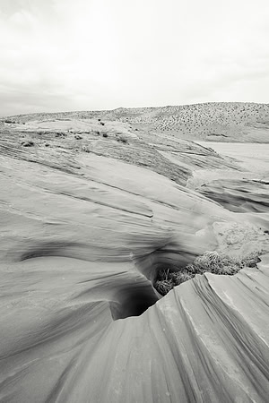 Black and White Coyote Canyon