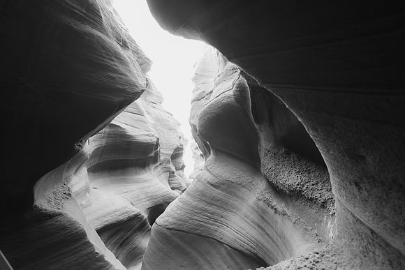 Black and White Coyote Canyon