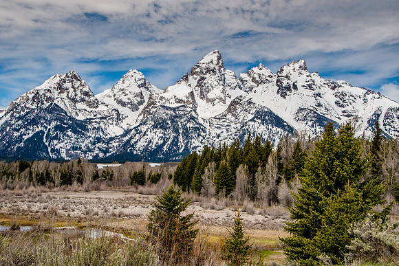 Schwabacher's Landing