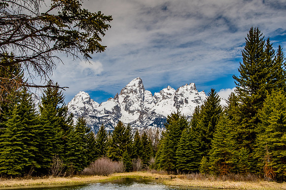 Schwabacher's Landing