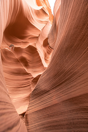 Rattlesnake Canyon
