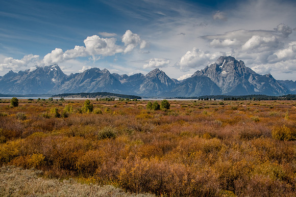 Willow Flats