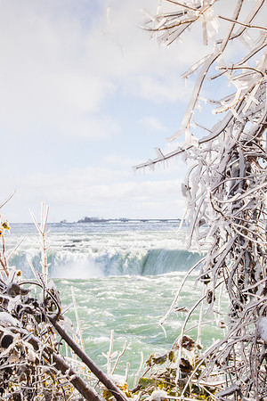 Frozen branches at Niagara Falls