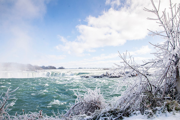 Frozen branches at Niagara Falls