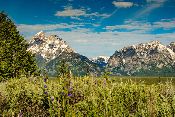 Snake River Overlook